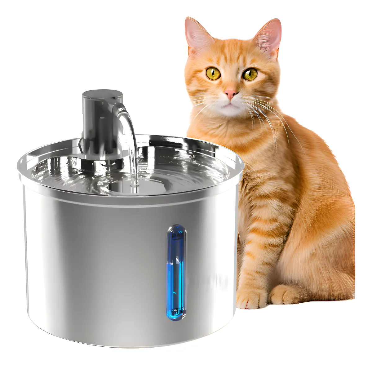 Solução curada: Fonte De Água De Aço Inoxidável Para Gatos E Cães